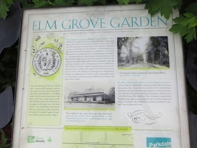 Elm Grove Garden
