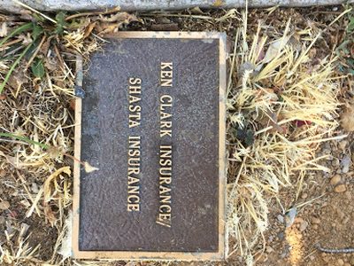 Ken Clark Insurance / Shasta Insurance