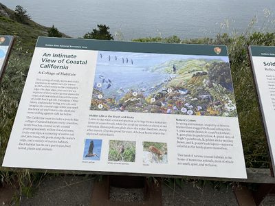 An Intimate View of Coastal California
