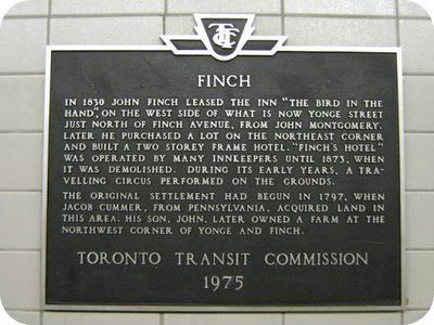 Finch