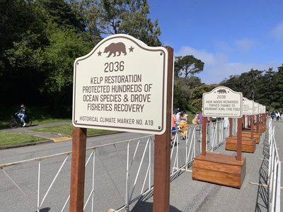 Future Plaque: Kelp Restoration Protected Hundreds Of Ocean Species & Drove Fisheries Recovery