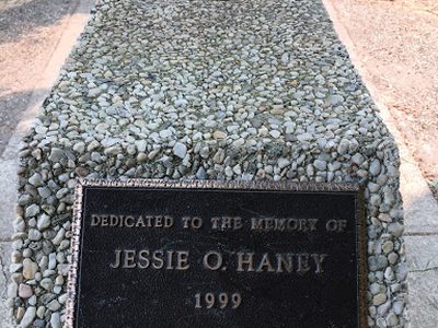 Jessie O. Haney