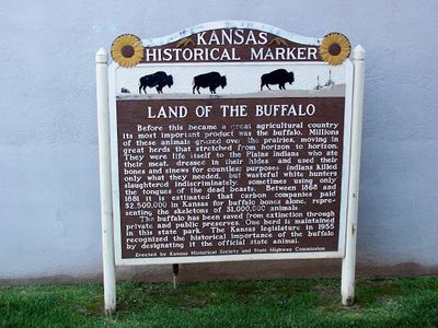 Land of the Buffalo