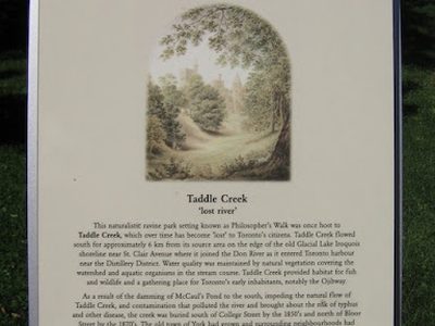 Taddle Creek 'lost river'