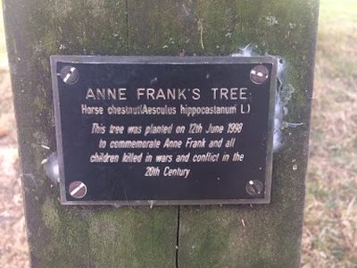 Anne Frank's Tree