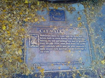 Cat Walk