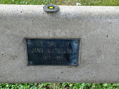 Jann Matusesky Bench