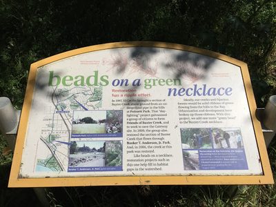 Beads on a Green Necklace