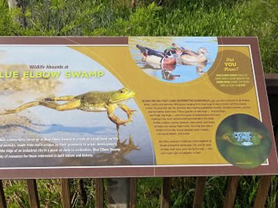 Blue Elbow Swamp