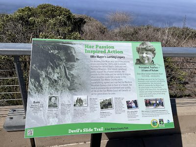 Ollie Mayer's Lasting Legacy