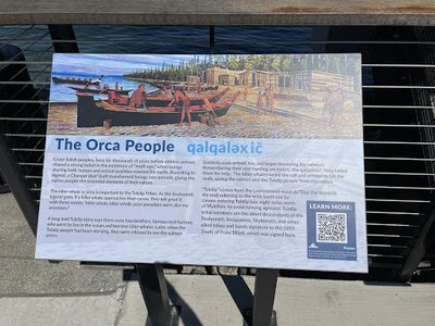 The Orca People