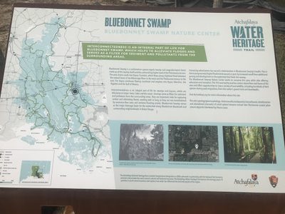 Bluebonnet Swamp - Bluebonnet Swamp Nature Center
