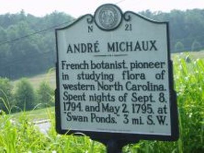 ANDRE MICHAUX