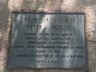Peter J. Shields