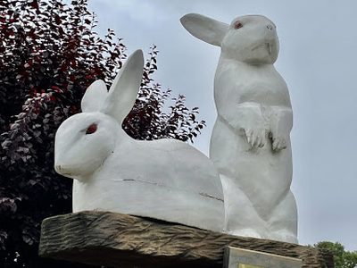 A Tribute to the Rabbits of the World