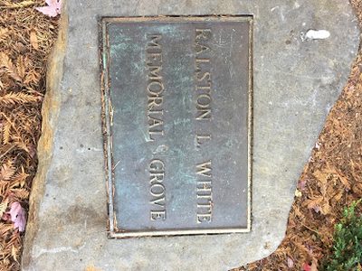 Ralston L. White Memorial Grove