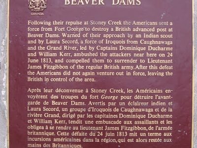 Beaver Dams