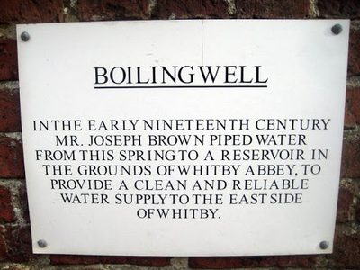 Abbey Well (Boiling Well) - Hawsker (2)