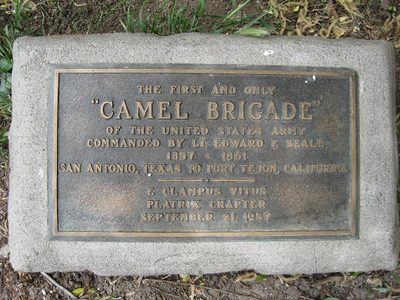 Fort Tejon Camel Brigade