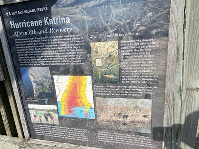 Hurricane Katrina