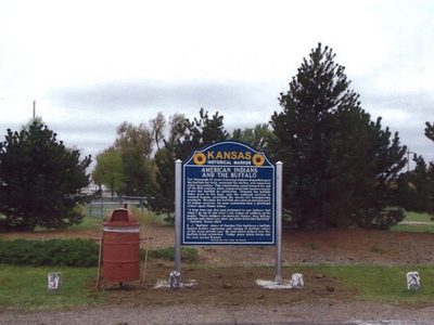 AMERICAN INDIANS AND THE BUFFALO