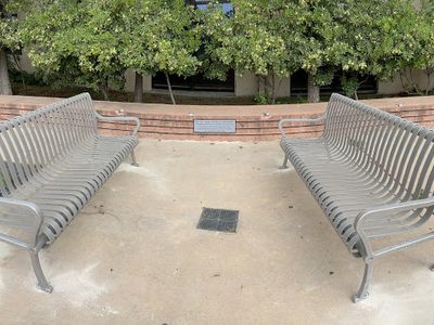 Six Feet Apart We Sit In Solidarity
