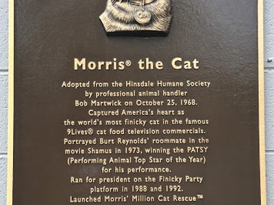 Morris