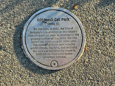 Off-leash Cat Park