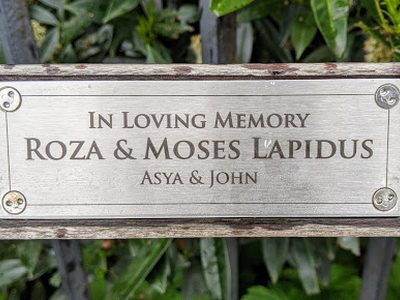 Roza & Moses Lapidus
