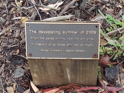2009 Bush Fires