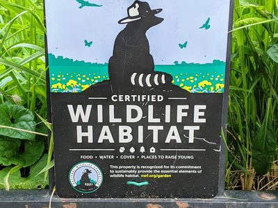 Certified Wildlife Habitat, J.J. Byrne Playground