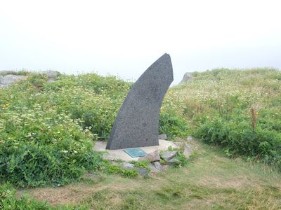 Sunsweep