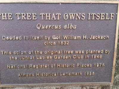 The Tree That Owns Itself