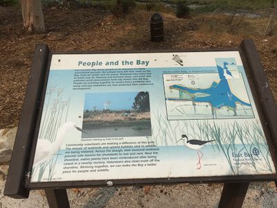 People and the Bay
