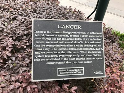 Cancer