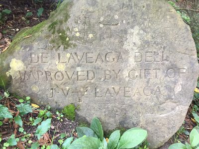 De Laveaga Dell