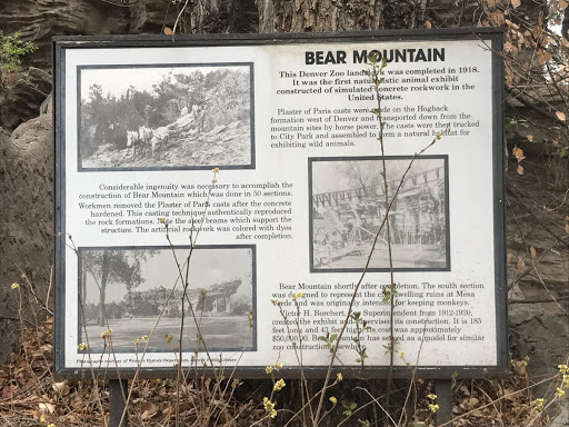 Bear Mountain at the Denver Zoo