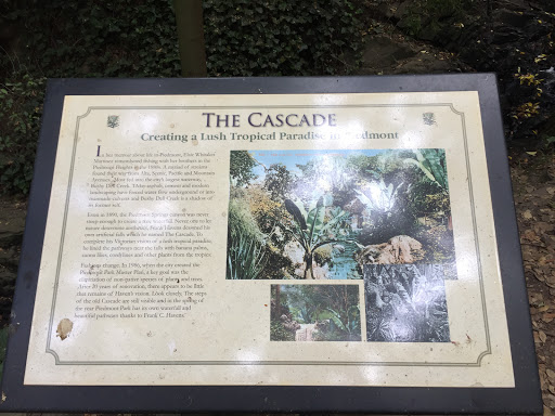 The Cascade