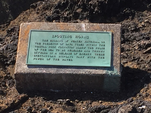 Spouting Horns