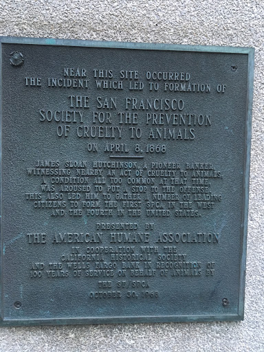 The San Francisco  Society for the Prevention  of Cruelty to Animals