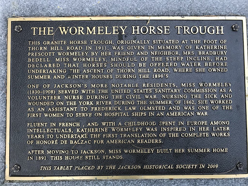 The Wormeley Horse Trough