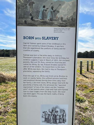 Born into Slavery