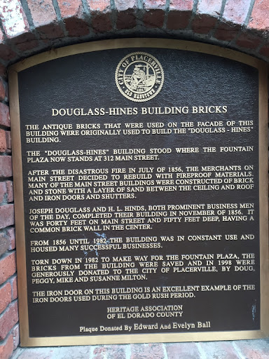 Douglass-Hines Building Bricks