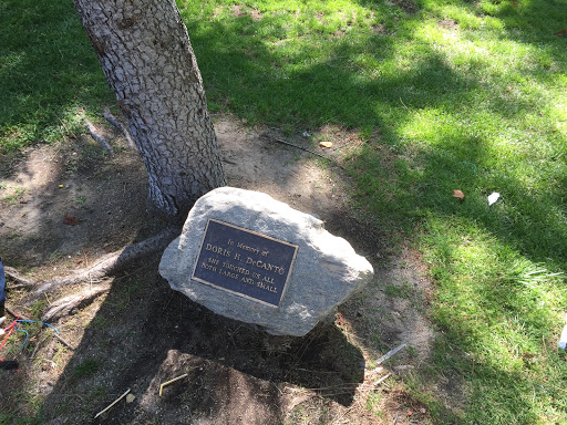 Montrose Community Park