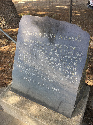 Richard B. Tyree Vineyard