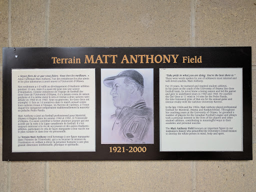 Terrain Matt Anthony Field