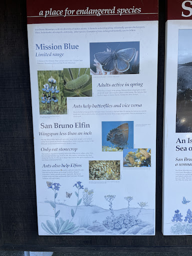 A Place For Endangered Species