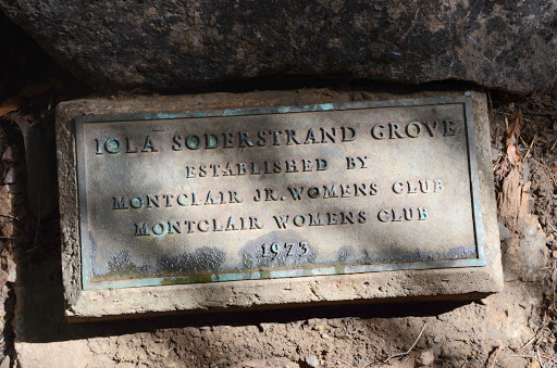 Iola Soderstrand Grove