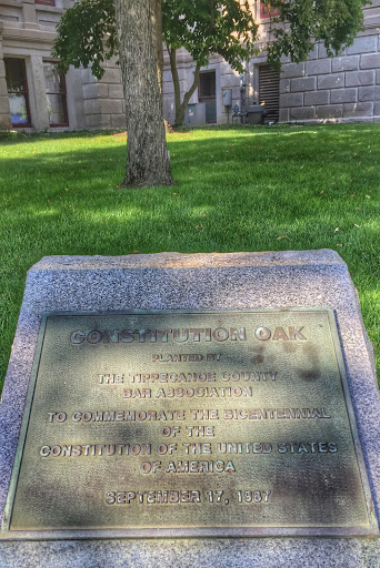 Constitution Oak