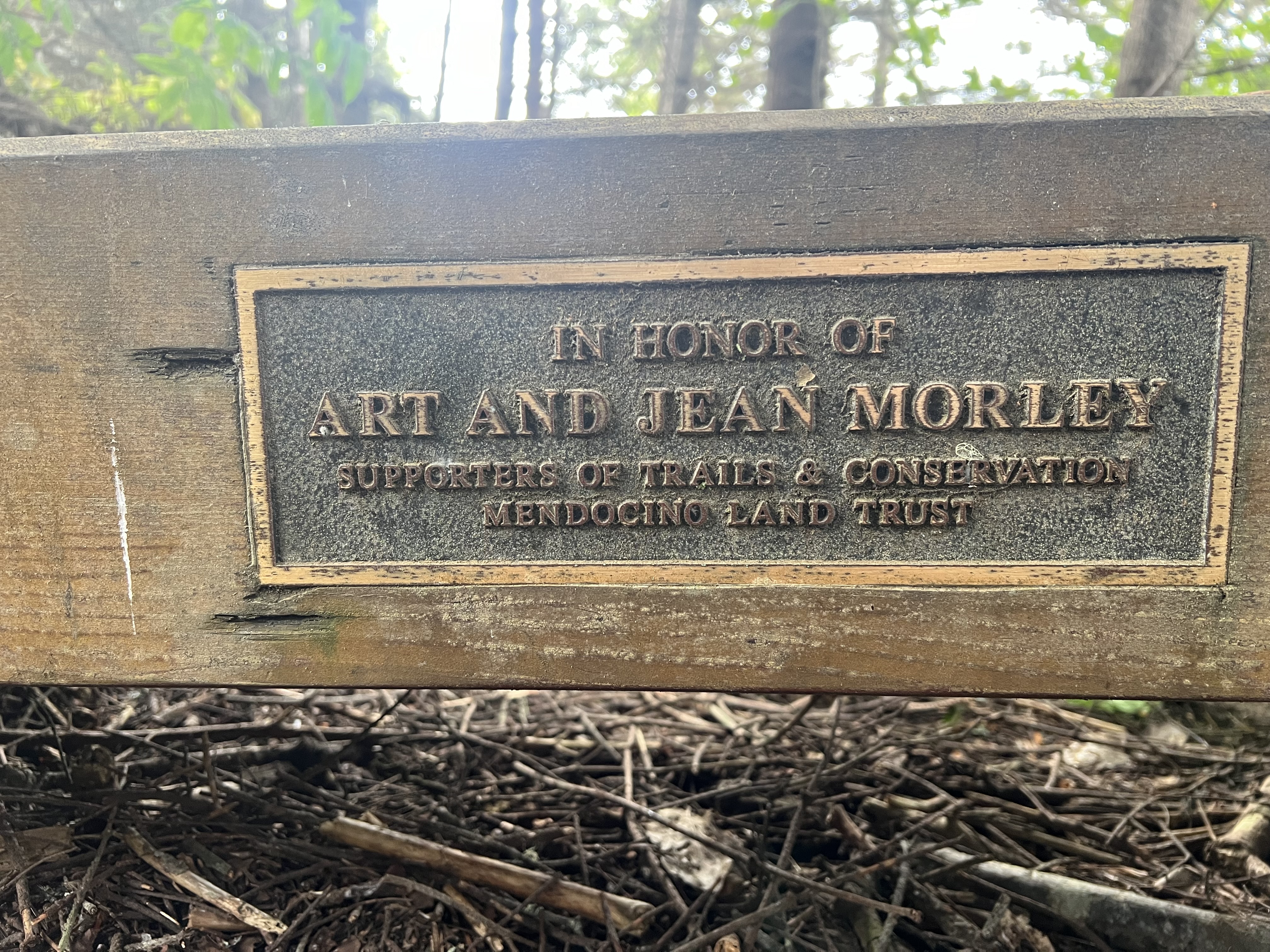 In Honor of Art and Jean Morley